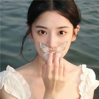 飞龙引凤