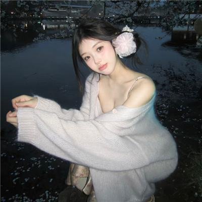 驴子潘趣